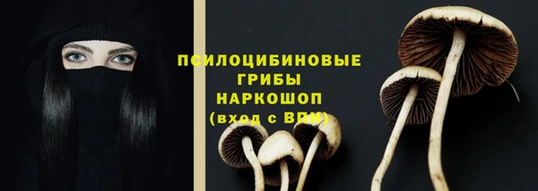 спайс Алексеевка